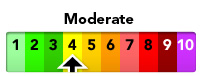 The current pollution level is Moderate (4)
