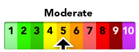 The current pollution level is Moderate (5)
